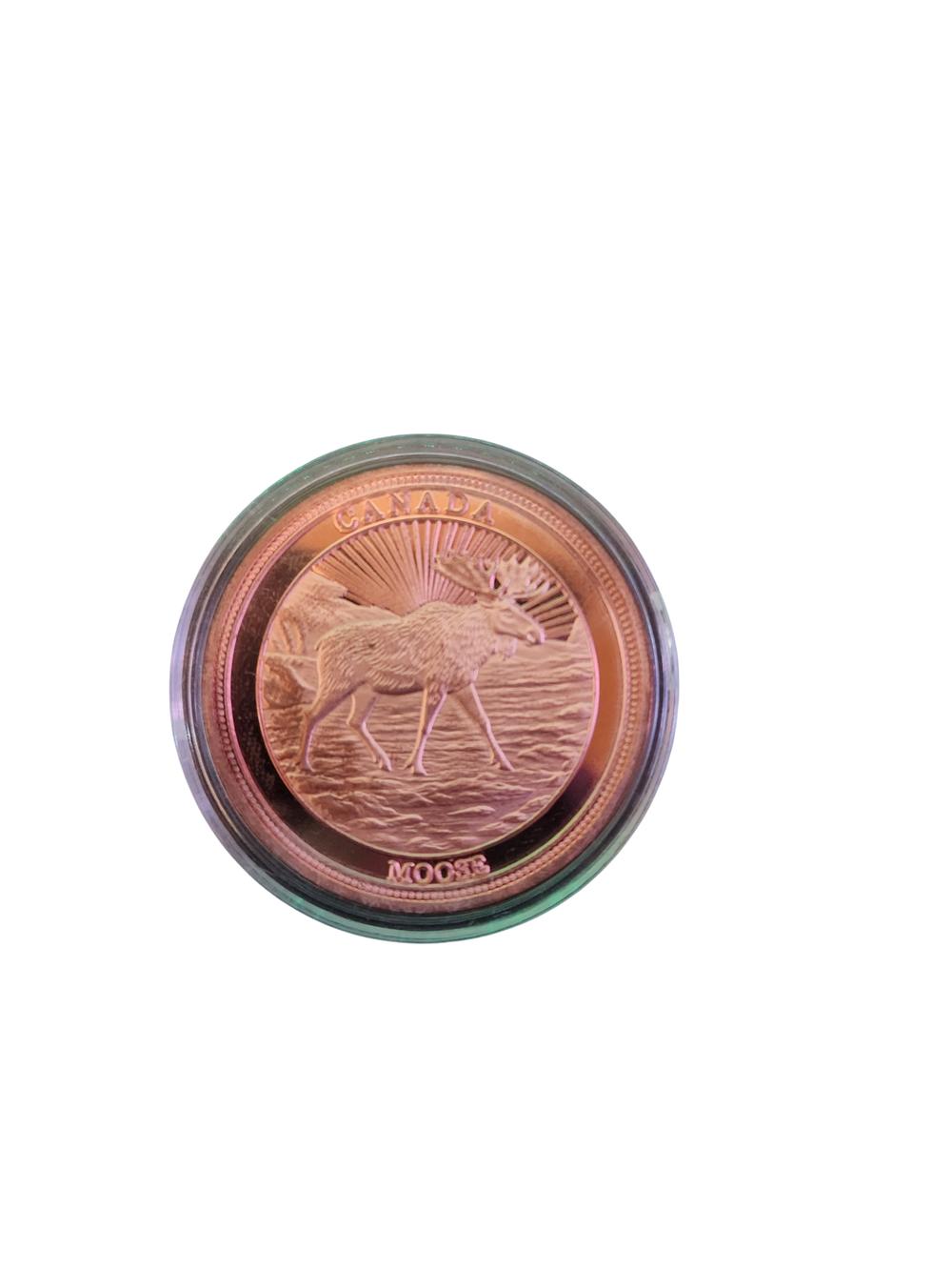 1 oz .999 Copper Round – Maple Leaf Mint MOOSE